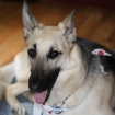 2010-06-23 (005)